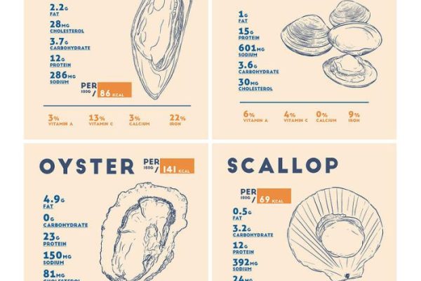 Cooked scallops nutrition facts